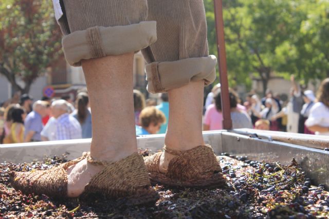 El 'Día de la Vendimia' nos trae la pisada de la uva y la bendición del primer mosto - 1, Foto 1