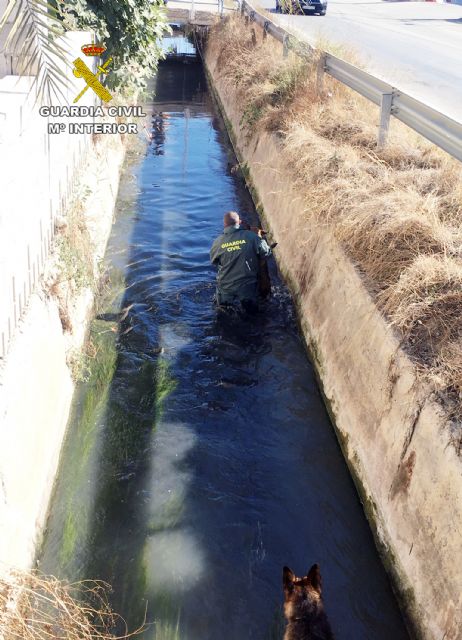 La Guardia Civil rescata a dos pastores alemanes que habían caído a una acequia - 4, Foto 4