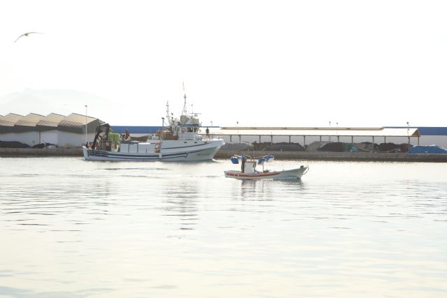 Aprender a conservar el mar a través de la gastronomía - 1, Foto 1