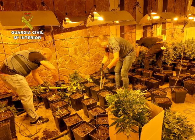 La Guardia Civil desmantela un invernadero indoor con más de mil plantas de marihuana - 2, Foto 2