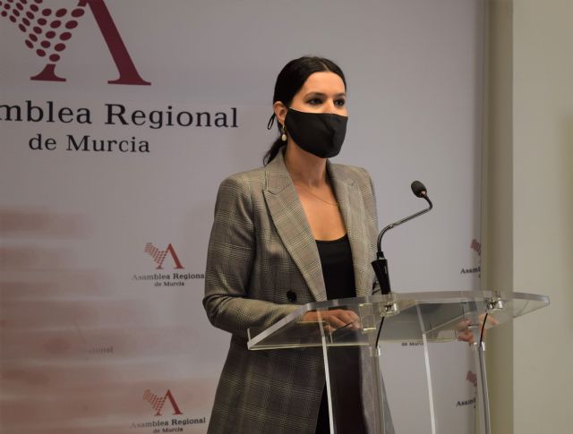 El PP subraya que la Ley de Mecenazgo apuesta por la colaboración público-privada como modelo de éxito y clave para salir de la crisis - 1, Foto 1