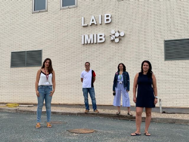 Investigadores de la UMU y el IMIB descubren un nuevo proceso implicado en la enfermedad rara Leucodistrofia hipomielinizante 14 - 1, Foto 1