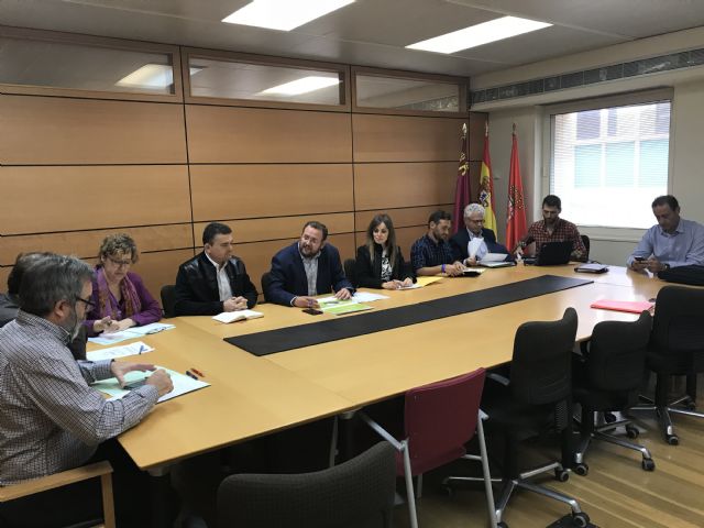 El Grupo de trabajo del arbolado urbano busca consensuar con los grupos políticos municipales la puesta en valor de los más de 100.000 árboles del municipio - 1, Foto 1