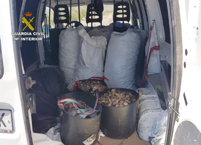 La Guardia Civil desmantela un grupo delictivo dedicado a la sustracción de productos agrícolas - 2, Foto 2