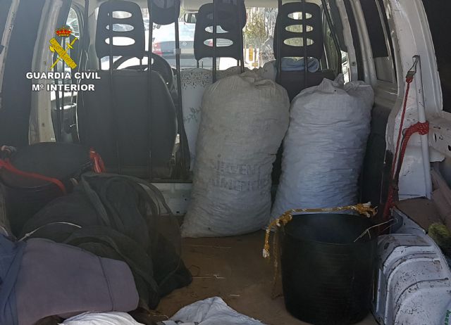 La Guardia Civil desmantela un grupo delictivo dedicado a la sustracción de productos agrícolas - 4, Foto 4