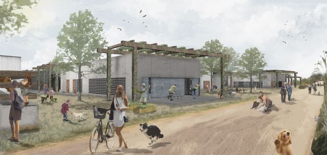 Idea en la Politécnica un refugio junto al Segura para animales abandonados y personas en riesgo de exclusión - 1, Foto 1