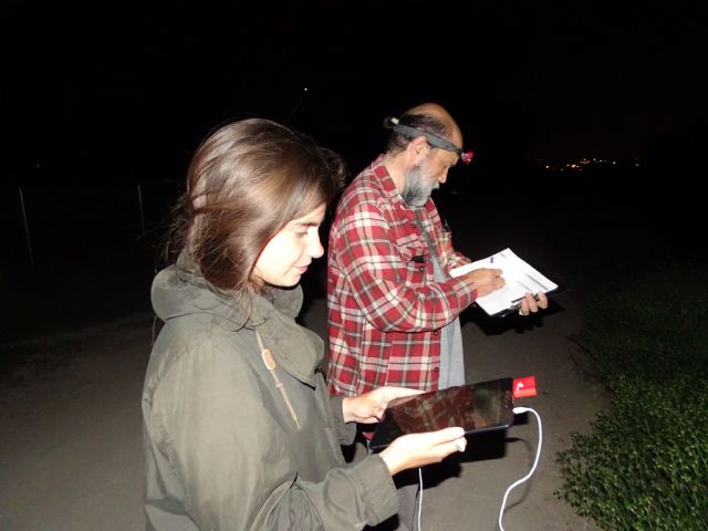 ANSE: El río Segura constituye un ecosistema valioso para las poblaciones de murciélagos - 1, Foto 1