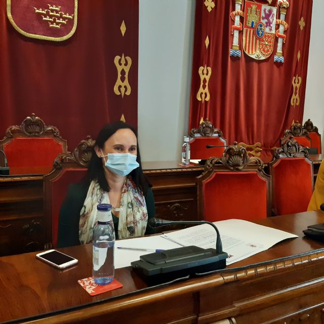 El Pleno aprueba las medidas fiscales de MC Cartagena en 2021 para aliviar a particulares y empresas - 3, Foto 3