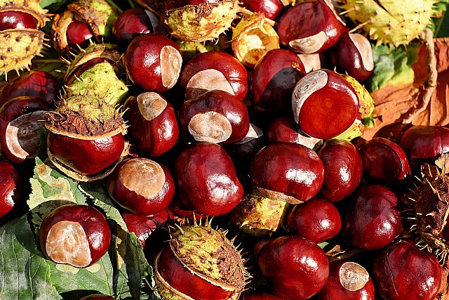 Los 5 mejores alimentos para disfrutar de un Halloween casero - 2, Foto 2