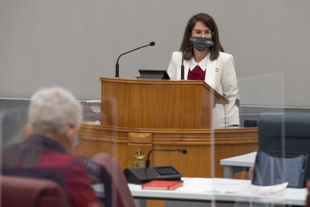El PSRM critica el nulo interés del PP por las personas con discapacidad al no crear una Comisión Permanente en la Asamblea Regional - 1, Foto 1