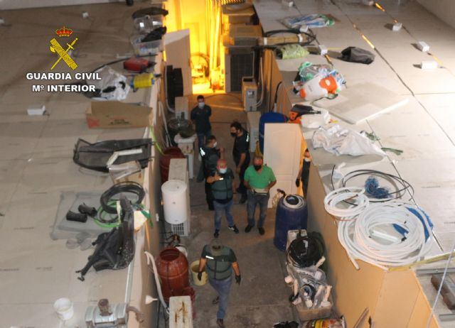 La Guardia Civil desmantela dos invernaderos clandestinos con 1.500 plantas de marihuana - 2, Foto 2