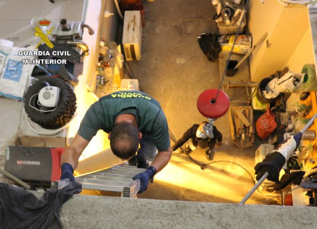 La Guardia Civil desmantela dos invernaderos clandestinos con 1.500 plantas de marihuana - 3, Foto 3