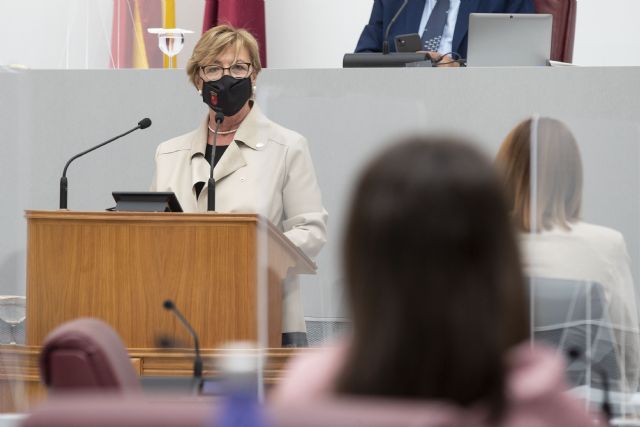 Pelegrín: “Inmoral es la falta de financiación por parte del Gobierno de España a la Ley de Dependencia” - 1, Foto 1