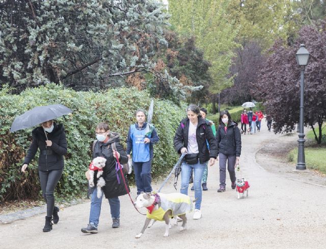 Más de una veintena de personas caminan con sus mascotas en Madrid para promover una buena salud cardiovascular - 2, Foto 2