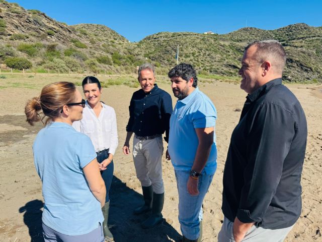 Lorca celebra la liberación de una tortuga boba en Calnegre tras su recuperación en El Valle - 1, Foto 1