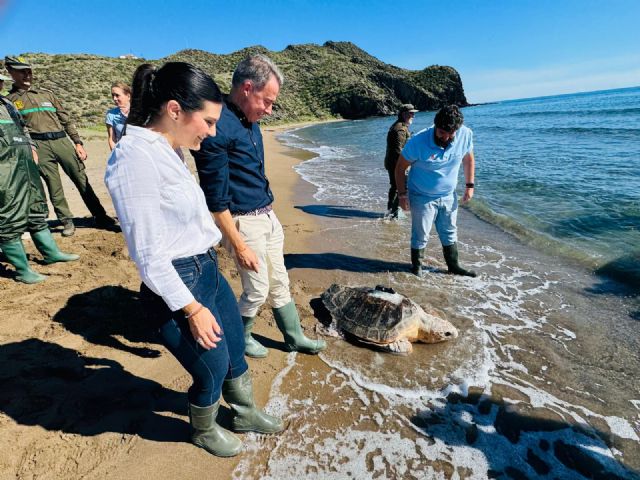 Lorca celebra la liberación de una tortuga boba en Calnegre tras su recuperación en El Valle - 3, Foto 3