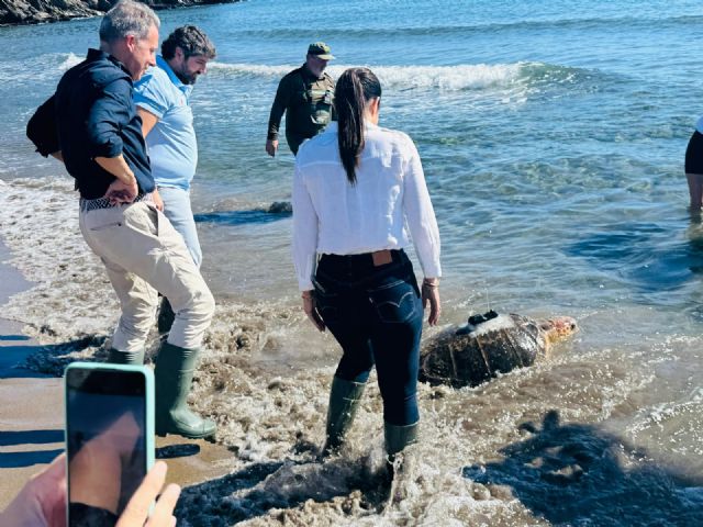 Lorca celebra la liberación de una tortuga boba en Calnegre tras su recuperación en El Valle - 5, Foto 5