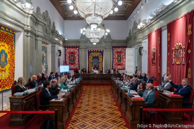 El pleno se muestra unánime en la lucha contra el acoso escolar - 1, Foto 1