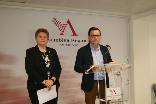 El PSOE valora positivamente la reforma de la Ley del personal estatutario del SMS, en la que permanece el actual sistema de incompatibilidades - 1, Foto 1
