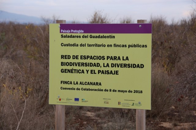 ACUDE y el Ayuntamiento de Alhama plantan 100 ejemplares de tarays en la Alcanara, Foto 3