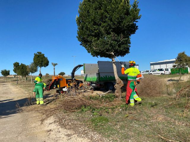 Nueva maquinaria respetuosa con el medio ambiente para el cuidado de las zonas verdes del municipio de Torre Pacheco - 5, Foto 5