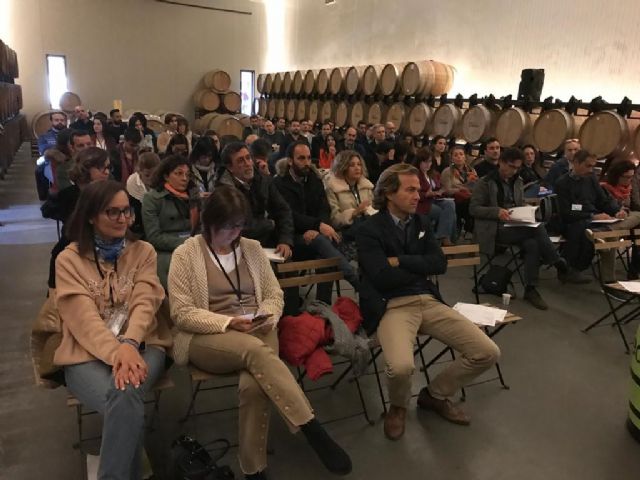30 startups de diez municipios participan en una jornada del INFO para reforzar el emprendimiento - 1, Foto 1