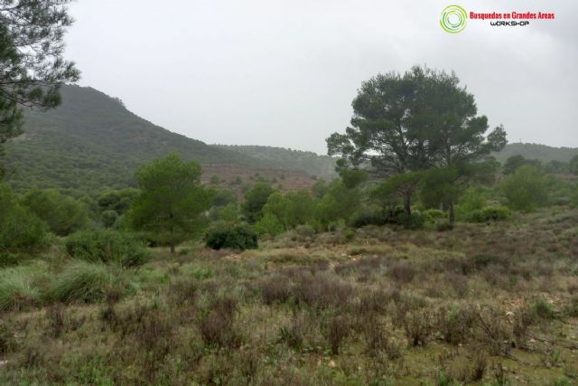 Cartagena acoge el primer Workshop de Búsqueda de Personas Desaparecidas en grandes áreas - 1, Foto 1