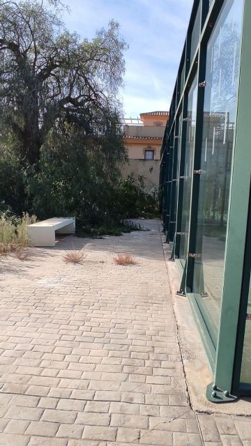 MC exigirá en La Aljorra un plan de mantenimiento para las instalaciones de la piscina y las pistas exteriores de pádel - 3, Foto 3