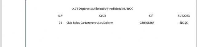 El gobierno de Arroyo lanza tarde las subvenciones en Deportes y recorta las ayudas a la mitad de los clubes deportivos - 3, Foto 3
