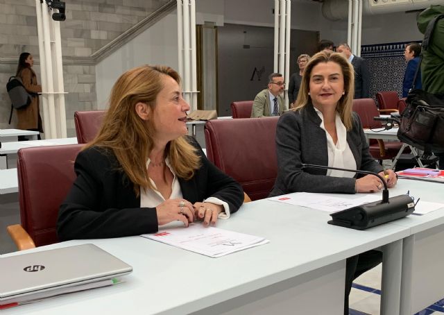 Carmina Fernández: Estamos ante unos presupuestos falsos, que carecen de credibilidad y que no abordan los problemas de la Región - 1, Foto 1