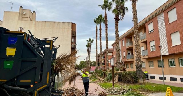 El Ayuntamiento comienza una campaña de podas de las palmeras del municipio - 1, Foto 1