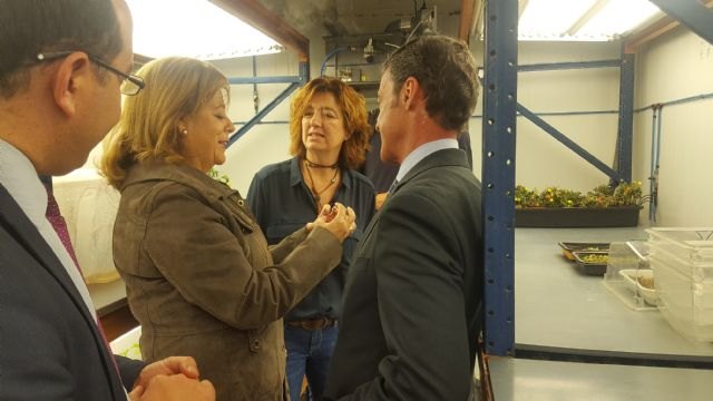 La Comunidad financia 14 proyectos de investigación agroalimentaria y medioambiental con 1,5 millones de euros - 2, Foto 2