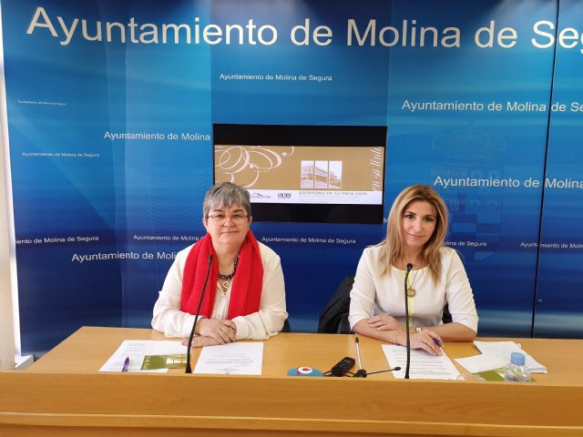 Dolores Redondo, Soledad Puértolas, Paloma Sánchez-Garnica, David Lozano y Cristina Morató participan en el programa del Ciclo Escritores en su tinta 2020 de Molina de Segura - 1, Foto 1