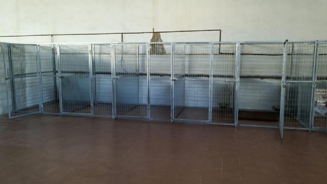 El Ayuntamiento construye una zona canina junto a la Policía Local para la custodia de mascotas perdidas o abandonadas - 2, Foto 2