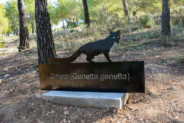 El ayuntamiento de Fortuna realiza mejoras en el área recreativa de Fuente la Higuera - 2, Foto 2