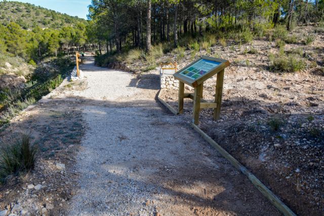 El ayuntamiento de Fortuna realiza mejoras en el área recreativa de Fuente la Higuera - 3, Foto 3