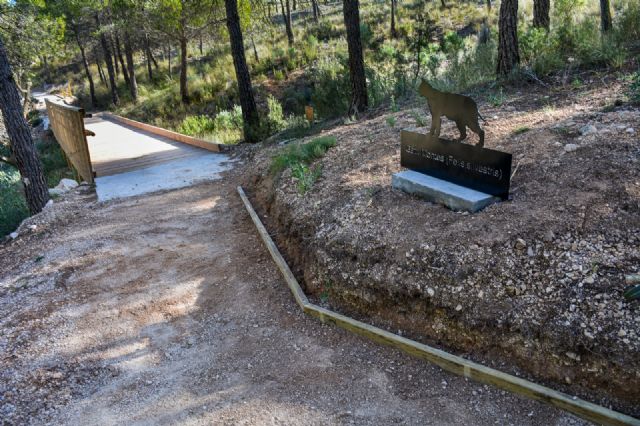El ayuntamiento de Fortuna realiza mejoras en el área recreativa de Fuente la Higuera - 5, Foto 5