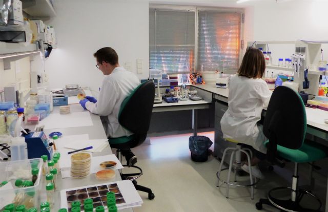 Abiopep logra que la Comisión Europea apruebe su ´vacuna´ para el tomate por ser sostenible y respetuosa con el medio ambiente - 2, Foto 2