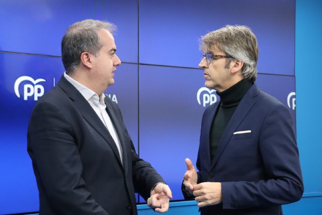 Luis Marín: Es urgente que los fondos europeos lleguen a las empresas y a las familias porque no están alcanzando su objetivo por la mala gestión del Gobierno de Pedro Sánchez - 1, Foto 1