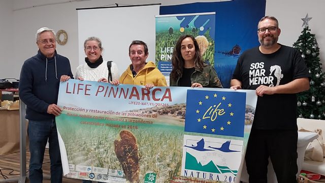 La nacra del Mar Menor recibe apoyo del programa LIFE para evitar su desaparición - 2, Foto 2
