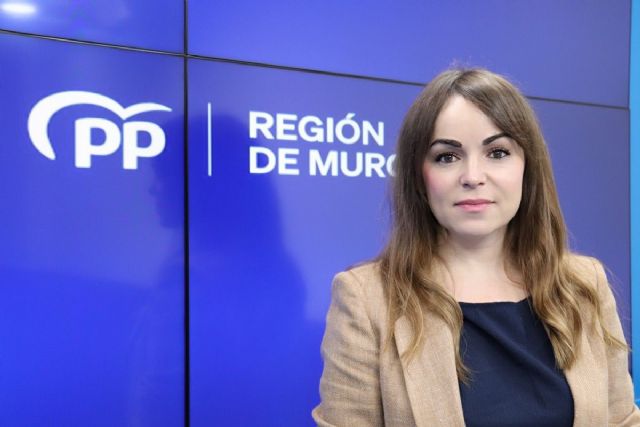 Rebeca Pérez: Si hay un partido que utiliza las instituciones como trampolín electoral de sus candidatos, ese es el PSOE - 1, Foto 1