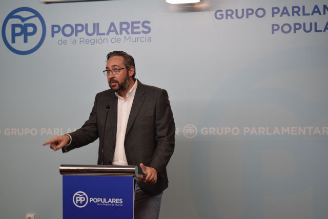 El PP pide a la dirección de Ciudadanos la expulsión de los concejales de Molina de Segura - 1, Foto 1