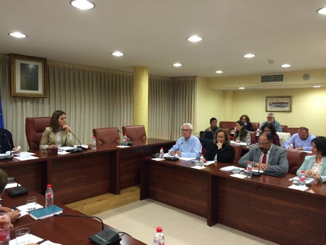 El PSOE solicita al Gobierno Regional que se aplique el presupuesto aprobado, prestando especial interés a las partidas destinadas a Águilas - 1, Foto 1