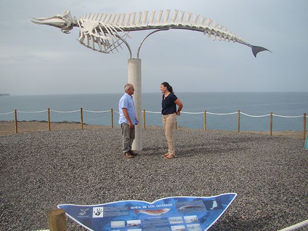 IU-V propone crear una senda de los cetáceos en el litoral lorquino de Calnegre exponiendo sus esqueletos - 1, Foto 1