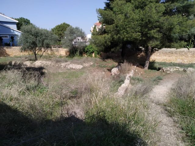 Huermur denuncia el vergonzoso estado del Martyrium y la Basílica de Algezares - 3, Foto 3