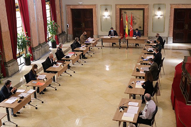 La Junta Local de Seguridad acuerda reforzar controles en jardines y accesos a la ciudad - 2, Foto 2