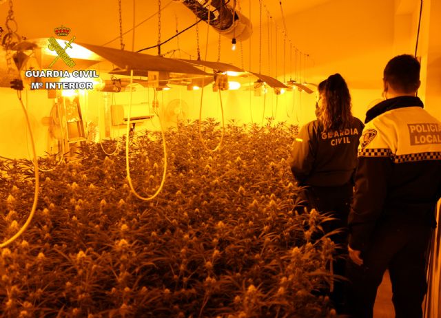 La Guardia Civil desmantela en Puerto Lumbreras una plantación indoor de marihuana - 1, Foto 1