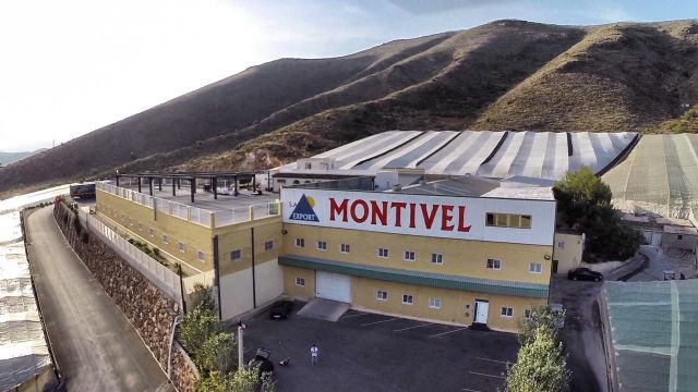 Anecoop incorpora a la sociedad agraria Montivel como socio - 1, Foto 1