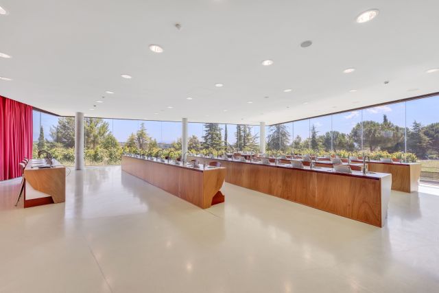 Juvé & Camps abre sus puertas a los futuros Master of Wine de la Península Ibérica - 1, Foto 1