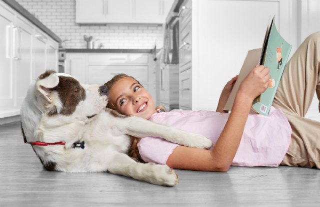 5 beneficios que aportan los perros a niños con trastorno del espectro autista - 1, Foto 1